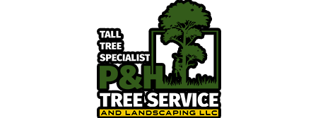P & H Tree Service and Landscaping LLC