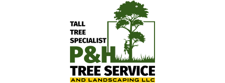 P & H Tree Service and Landscaping LLC